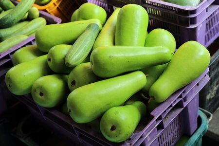 Green squash in a basket on display in a market, Singaporeの写真素材