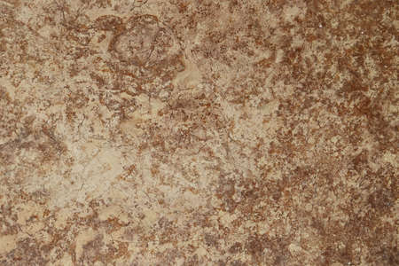 background cement plaster wallの写真素材