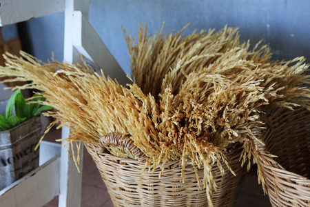 paddy rice in wicker baskets, vintage styleの写真素材