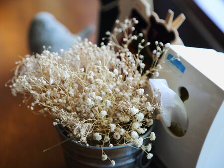 Dried wild flowers in buckets, dry flower vintage styleの写真素材