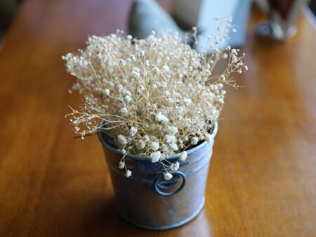 Dried wild flowers in buckets, dry flower vintage styleの写真素材