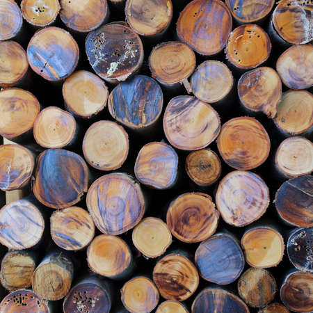 closeup of a pile of cut timberの写真素材