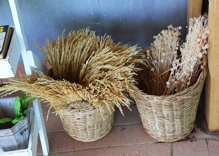 paddy rice and Dried wild flowers in wicker baskets, vintage styleの写真素材