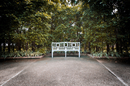 Blank white chair and shadow in the garden at spring viewの写真素材