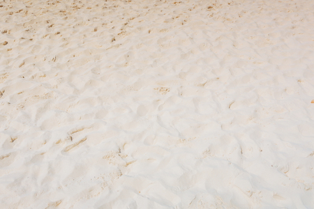 sand on the beach background or textureの写真素材