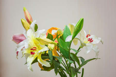 Lilly plastic flower on white wallpaper backgroundの写真素材