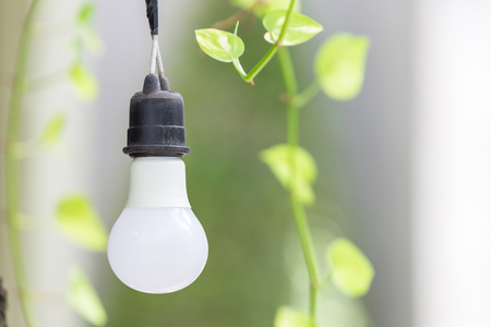 Light bulb on the green leaf background as idea and positive thinking conceptの写真素材