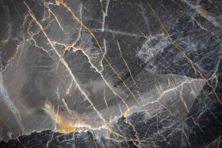 White and yellow patterned natural detailed of dark gray marble (Russia Gold) texture background for interior or product designの写真素材