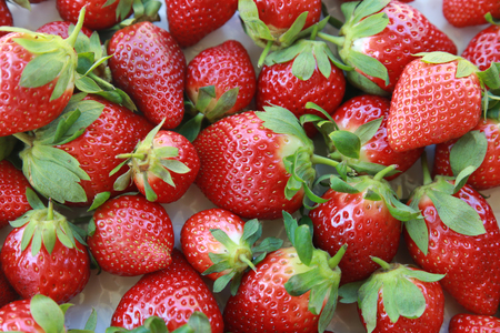 Fresh strawberries on white serving plateの写真素材