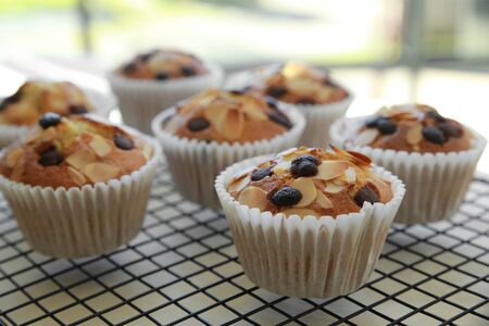 Homemade apricot chocolate chip almond slice muffins on cooling rackの写真素材