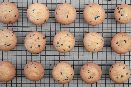 Homemade chocolate chip cookies on cooling rackの写真素材