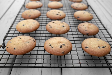 Homemade chocolate chip cookies on cooling rackの写真素材