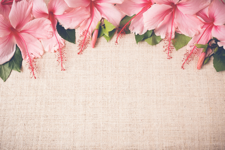 Pink Hibiscus flowers on linen, copy space background, selective focus, vintage toneの写真素材