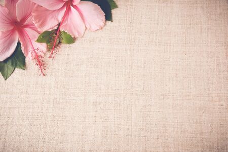 Pink Hibiscus flowers on linen, copy space background, selective focus, vintage toneの写真素材