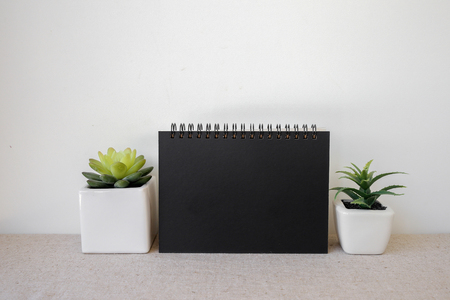 Notepad and succulents pots, room interior mockup, copy space backgroundの写真素材