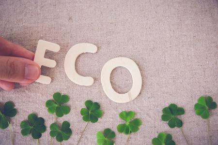Eco with green leaf, copy space background,toning