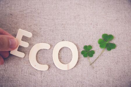Eco with green leaf, copy space background,toningの写真素材