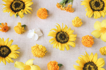 Yellow flowers summer backgroundの写真素材