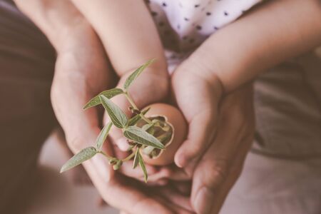 child and parents hands holding young plants in eggshell,soft selective focusの写真素材