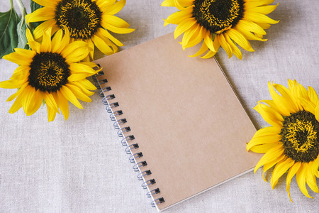 Yellow sunflowers with notepad background, selective focus, toningの写真素材