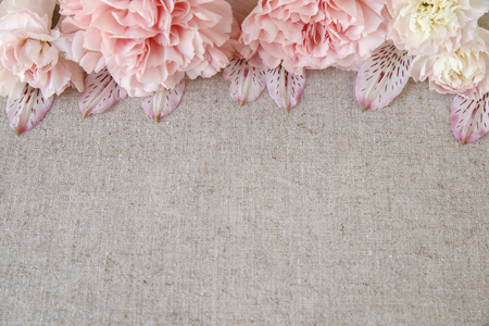 Pink Carnation flowers copy space linen backgroundの写真素材