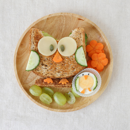 Owl healthy sandwich lunch, fun food art for kidsの写真素材