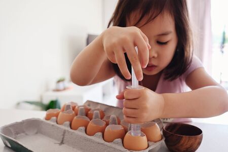 Mixed Asian girl watering seeds in eggshells,, eco gardening,  montessori, education concept, focus on handsの写真素材