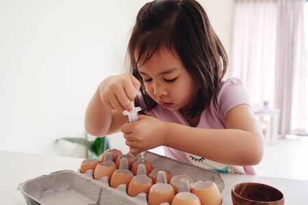 Mixed Asian girl watering seeds in eggshells,, eco gardening,  montessori, education conceptの写真素材