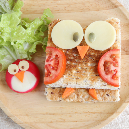Owl healthy sandwich, fun food art for kidsの写真素材