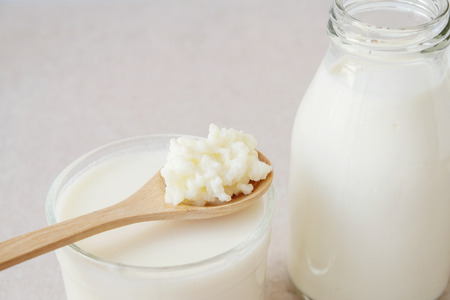 Organic probiotic milk kefir grains, Tibetan mushrooms on wooden spoon and kefir milk in glass containersの写真素材