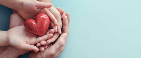 adult and child hands holding red heart on aqua backgroundの写真素材