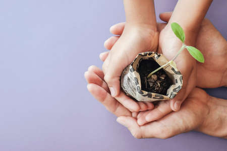 hands holding seedling plants in newspaper pot, montessori education , CSR  Corporate social responsibility, Eco green sustainable living, reuse, zero waste, pastic free, world food day, reponsible consumption conceptの写真素材