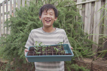 Happy mixed Asian preteen boy holding seedling tray, vegetable gardening,  fun outdoor activity, sustainable living, social distancing conceptの写真素材