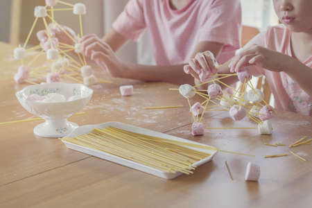 Mixed race young Asian children building tower with spaghetti and marshmallow learning remotely at home, STEM science, homeschooling education, Social distancing, isolation conceptの写真素材