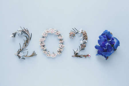 2020 made from natural leaves and flowers on pink background, Happy New Year wellness and healthy lifestyleの写真素材