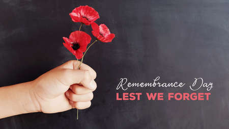 Hand holding red poppy flowers, remembrance day,  Lest we forgetの写真素材