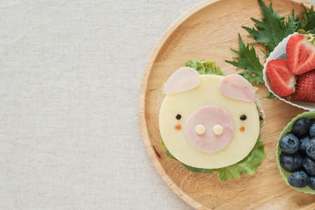 Cute pig lunch plate, fun food art for kids, year of pig foodの写真素材