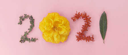 2021 made from natural leaves and flowers on pink background, Happy New Year wellness and healthy lifestyleの写真素材