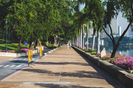 city park at morning with couple people are walking.の写真素材