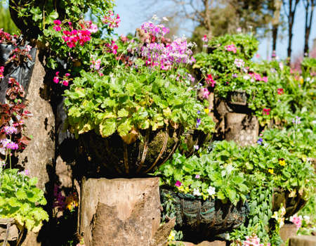flower beautiful decoration front public park gate.の写真素材
