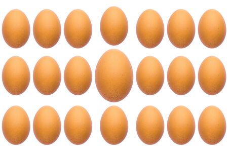 Pattern of eggs isolated on white.