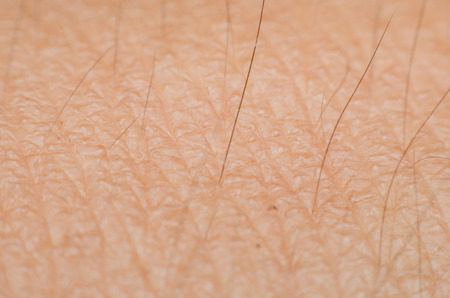 macro shot on texture of human skin with hairs. arm skin texture.の写真素材