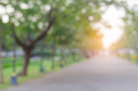 blur green nature background in park with path way and sunlight at the morning.の写真素材