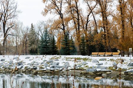 Benches in the park in winter timeの写真素材