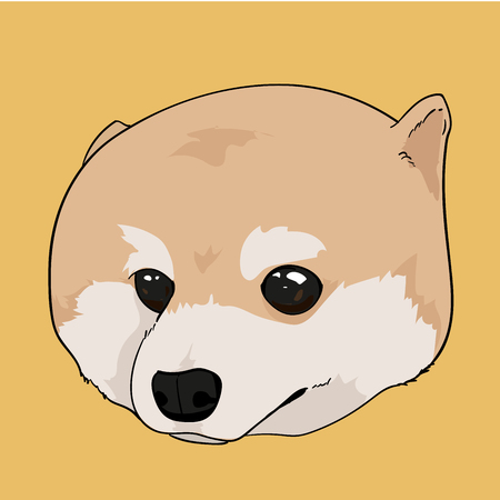 Pomeranian Dog Cuteのイラスト素材