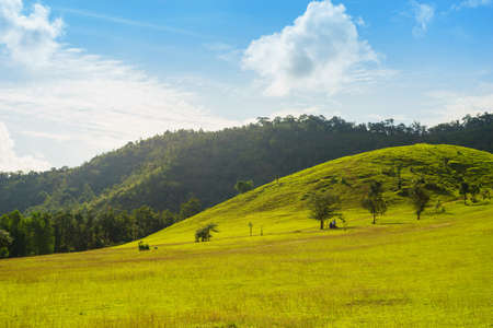 green grass moutain in rainny seasonの写真素材