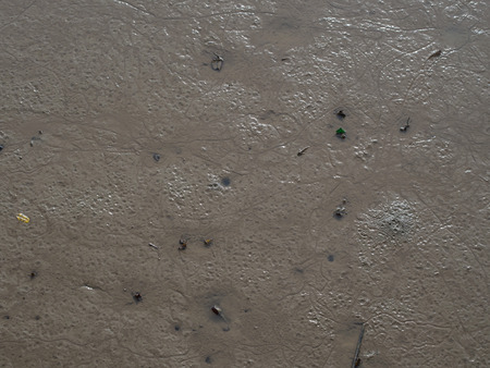 ebb tide at andaman ,sea nature striped on mud beside the seaの写真素材