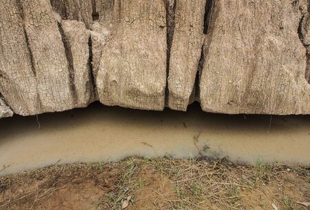 salinized soil land subside , thailand