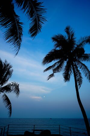 silhouette of coconut tree with sea and moonの写真素材