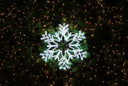 light of snowflake decorated on christmas tree, dark background